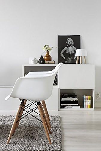 Modern Dining Side Chairs