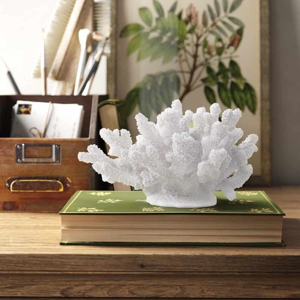 Coastal style entryway console table with coral sculpture