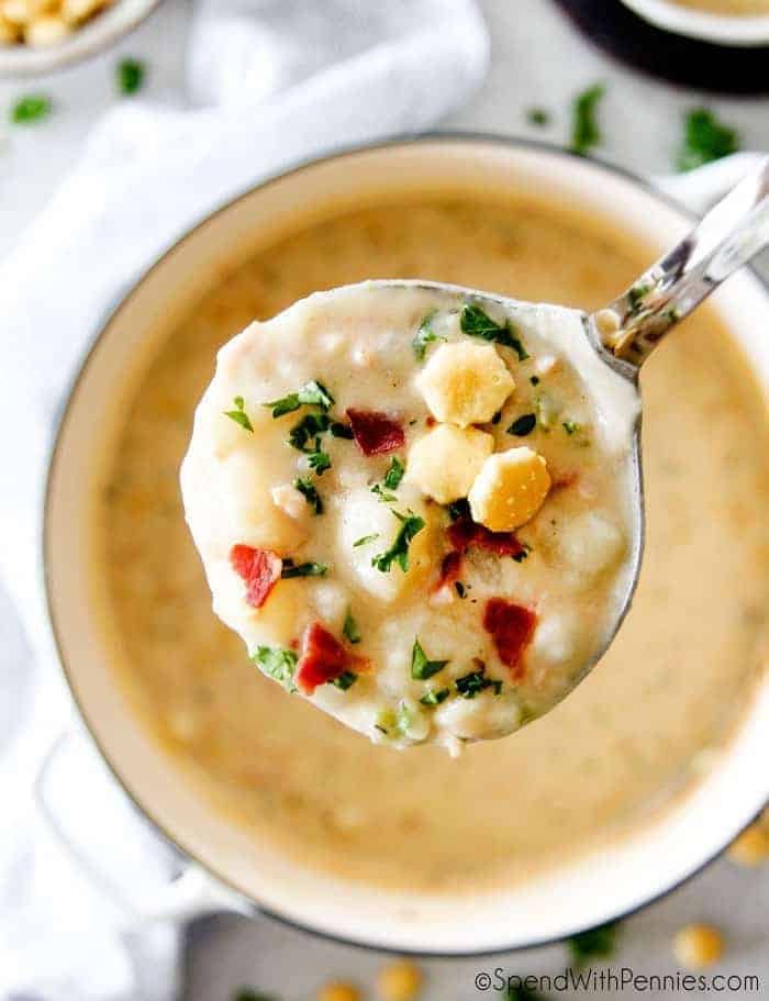 New england clam chowder