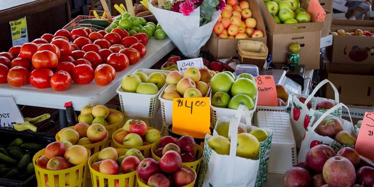 12 Seasonal Fruit Lunch Ideas to Try All Year Round