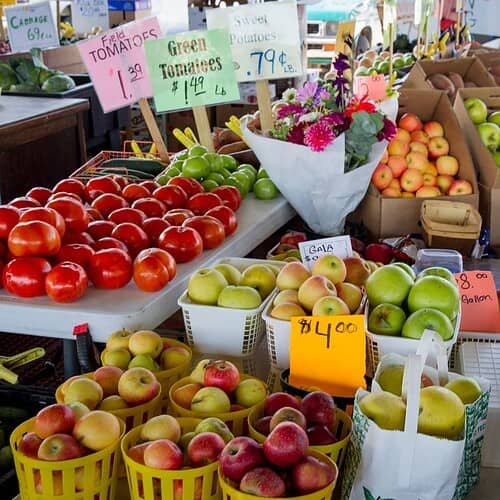 12 Seasonal Fruit Lunch Ideas to Try All Year Round