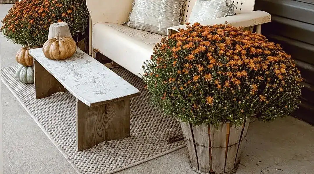 13 Cozy Fall Front Porch Decor Ideas to Welcome the Season
