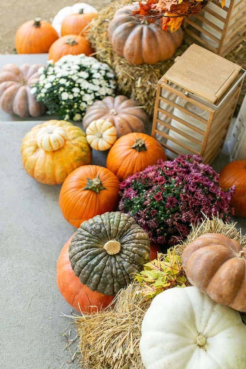 Porch seating area with throw pillows, blankets and outdoor lanterns filled with mini pumpkins