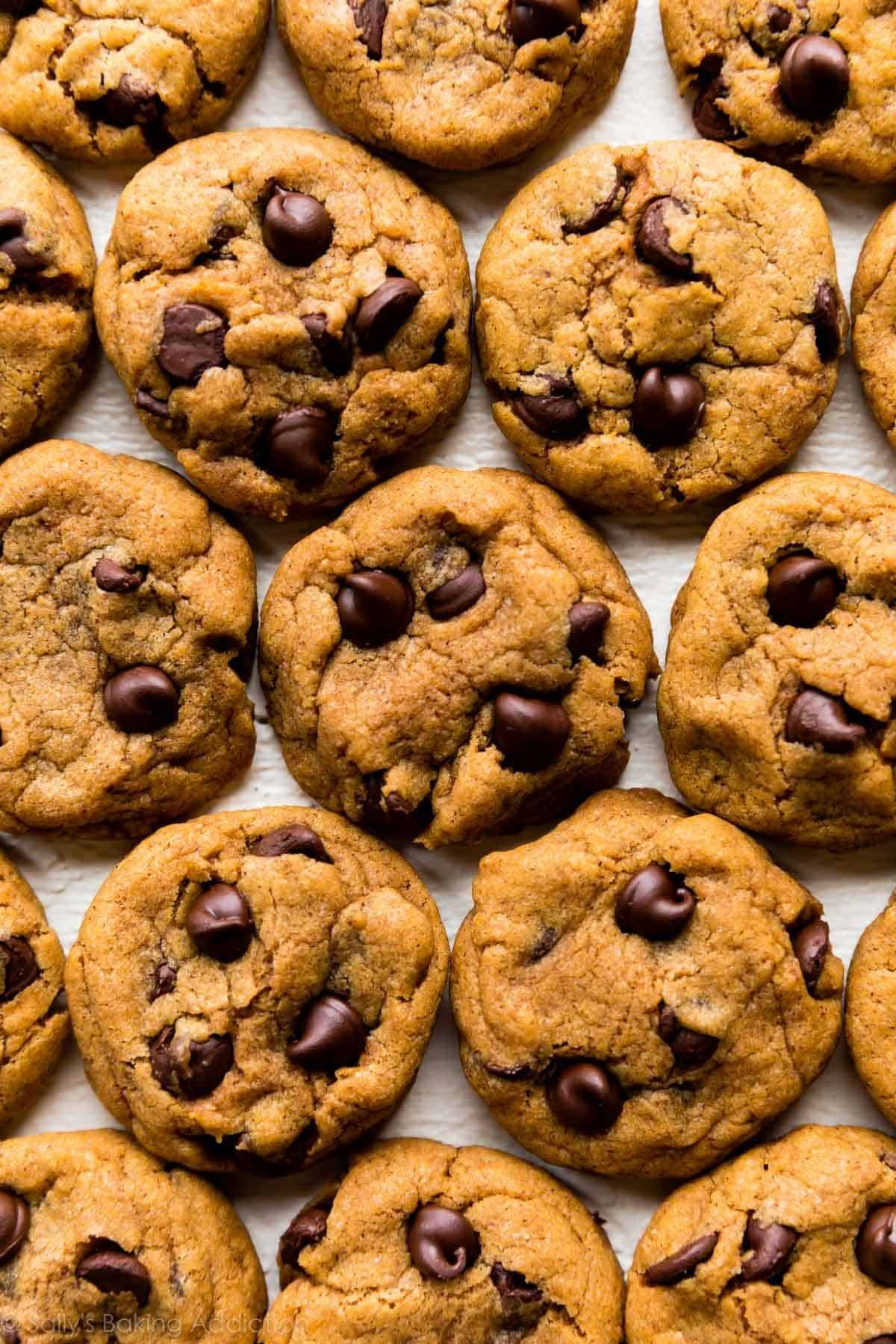 Chewy pumpkin chocolate chip cookies